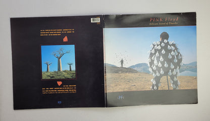 Pink Floyd,Delicate Sound Of Thunder,LP Album