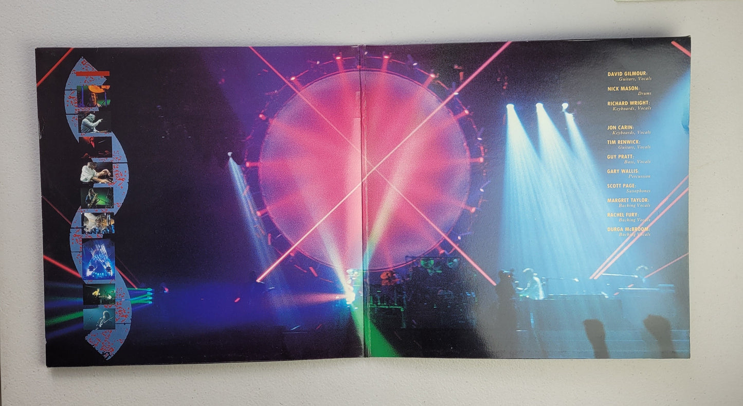 Pink Floyd,Delicate Sound Of Thunder,LP Album