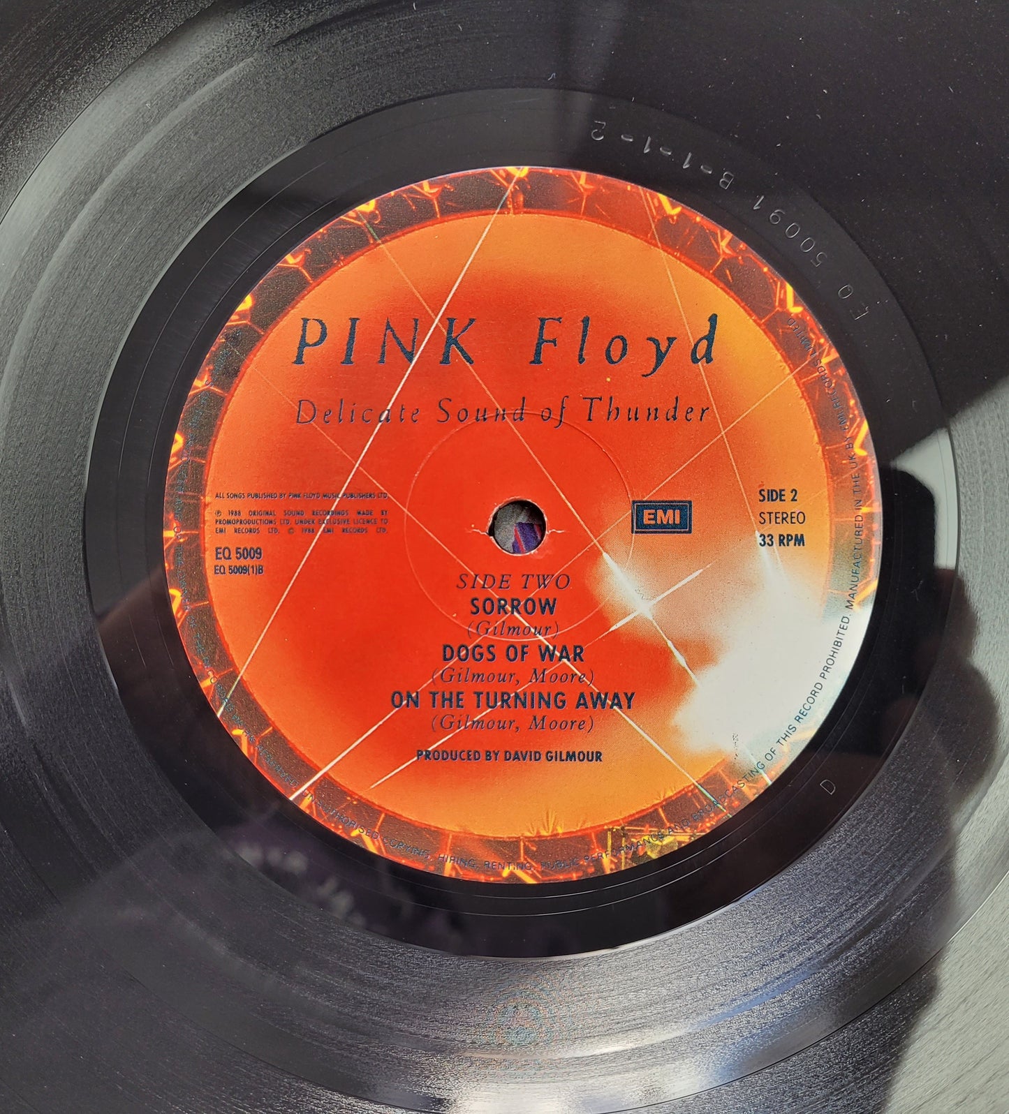 Pink Floyd,Delicate Sound Of Thunder,LP Album