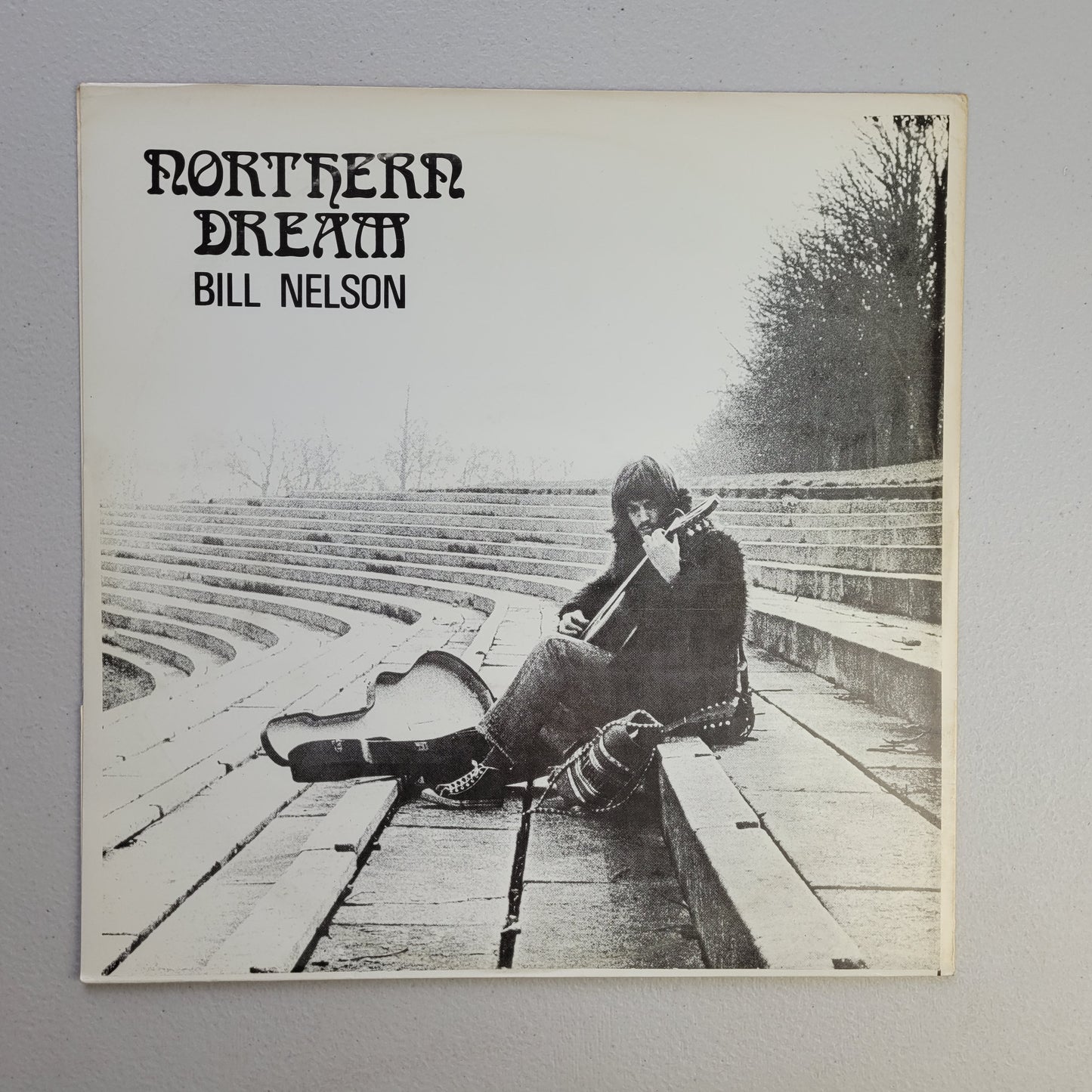 Bill Nelson,Northern Dream, LP Album
