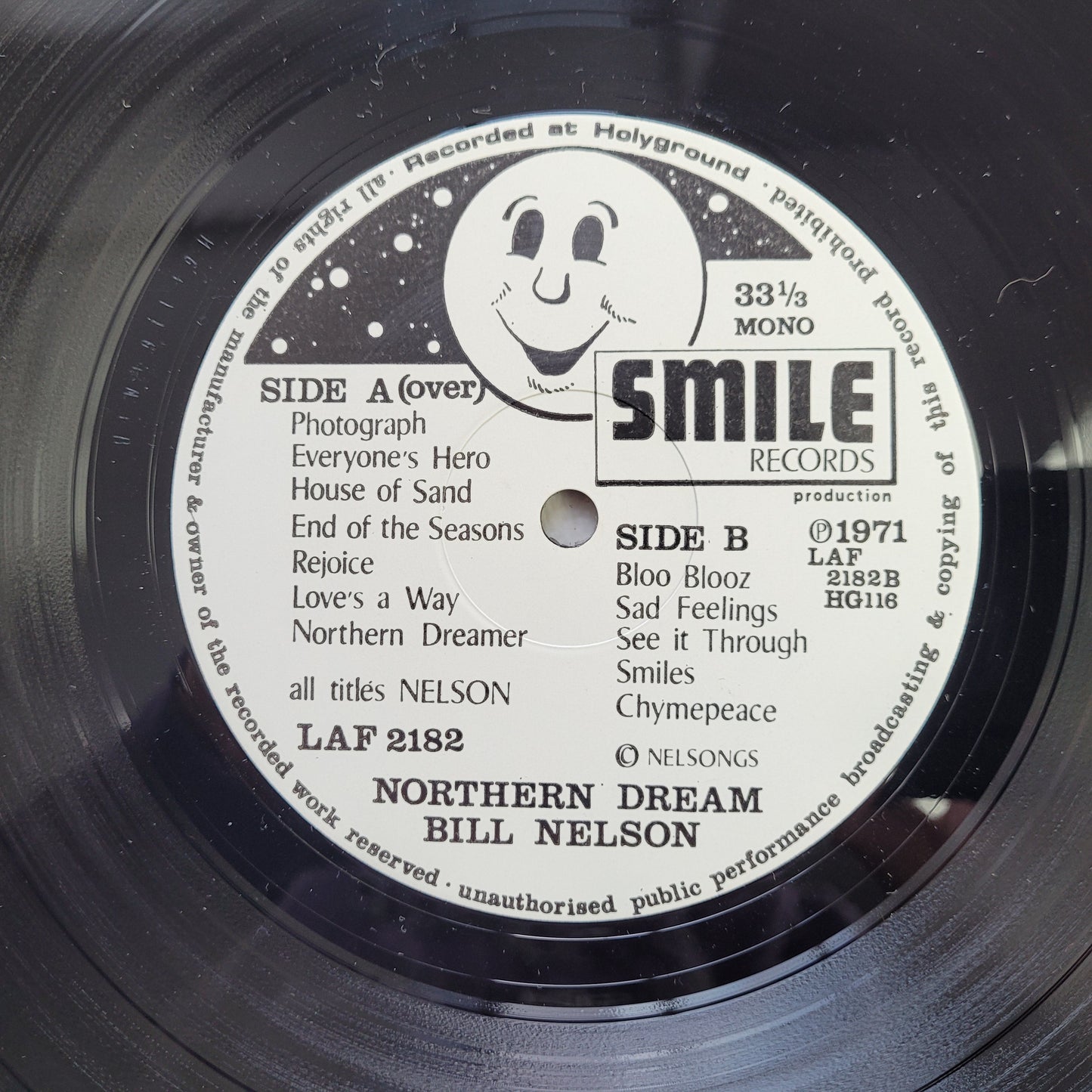 Bill Nelson,Northern Dream, LP Album